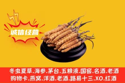 中山回收冬虫夏草